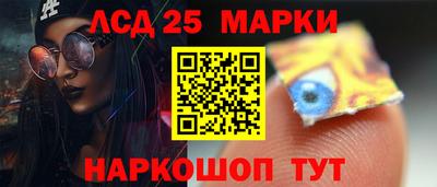 стаф Берёзовский