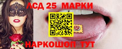 стаф Берёзовский