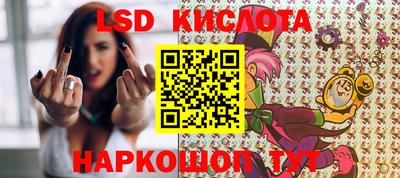 стаф Берёзовский