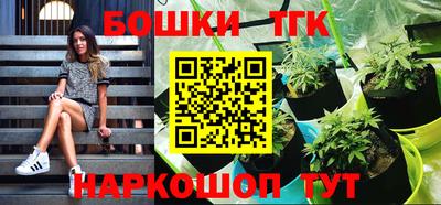стаф Берёзовский