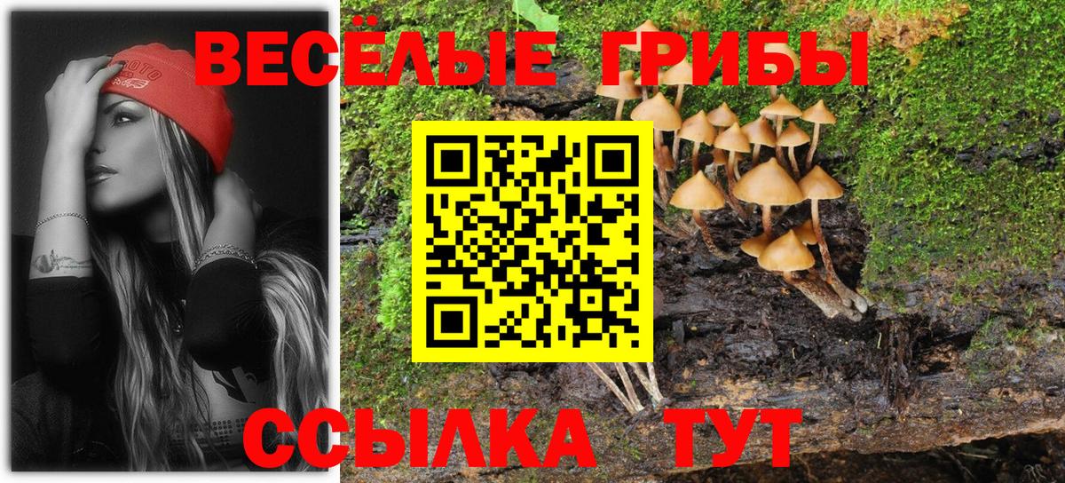 Галлюциногенные грибы Psilocybe  Псилоцибиновые грибы Psilocybe  Вход с VPN  Каменск-Уральский 